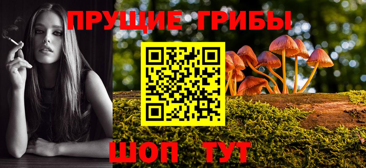 Псилоцибиновые грибы Cubensis  Псилоцибиновые грибы MAGIC MUSHROOMS  Вход с VPN  где продают   Туапсе 
